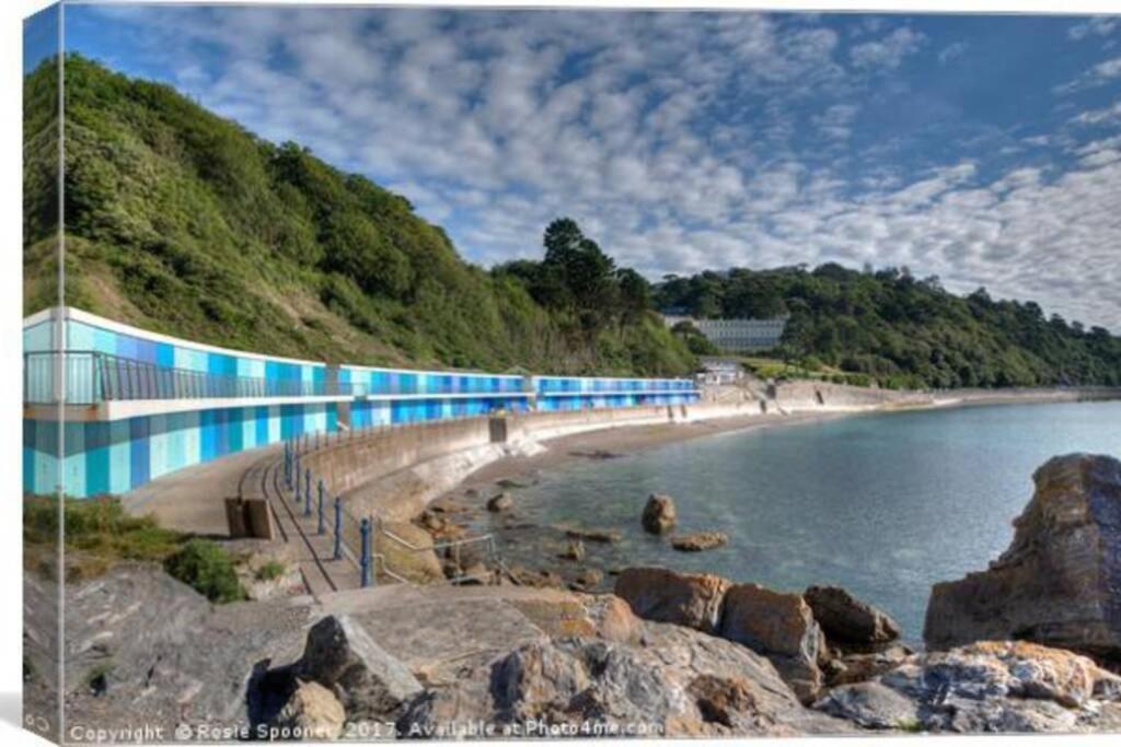 **Sunny And Bright, Thatchers Rock One Bed Beach Front Apartment*** 토키 외부 사진